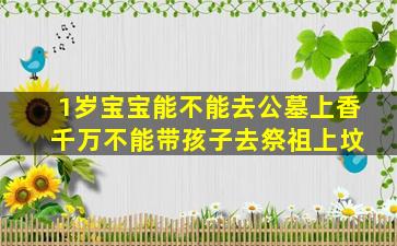 1岁宝宝能不能去公墓上香 千万不能带孩子去祭祖上坟